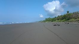 For sale 172 ha farm 1 km of beach impetus Pacific Central