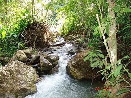 For sale, 100 ha farm with beautiful view, jungle sources, rivers at Osa