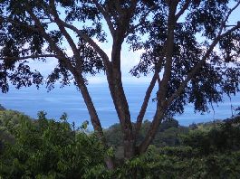 En venta, 9.8 hectáreas de terreno con hermosa vista al mar en Vereda La Yerba, Pavones