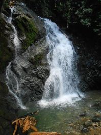 Waterfall farm, with 96 hectares with a lot of primeval forest near Piedras Blancas de Osa near Osa Golfo Dulce