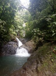 Farm with 80.7 ha, waterfalls, jungle, 35 ha for cultivation near Golfito for sale