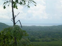 For sale, 40 ha farm with sea view, near the sea at Playa Coyote