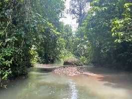Finca en la selva de 40 ha de cascadas, manantiales, arroyos en Cahuita-Carbon 2
